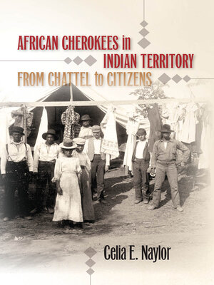 cover image of African Cherokees in Indian Territory